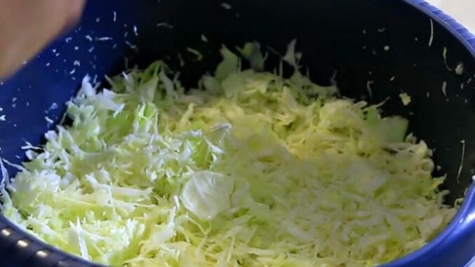 6461c776-cbc0-4744-9c6d-4fd30a0a0a64-1067395-kupus-7-ls-690x480