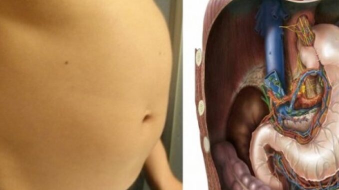 64787bc8-e53c-4fe4-a015-447f0a0a0a64-1685616031-225784-690x480