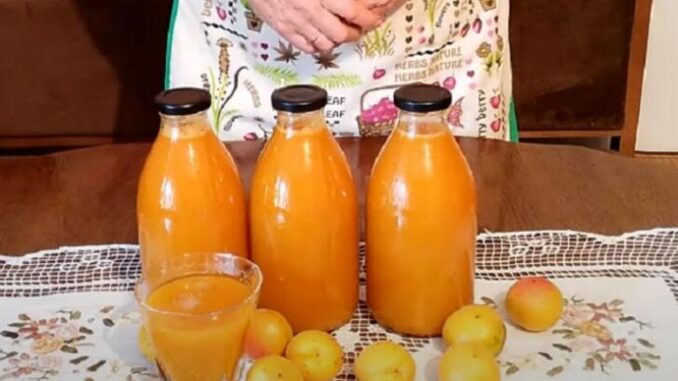 64a403ed-6640-4449-a195-4b650a0a0a64-328957-domaci-sok-od-kajsija-ls-690x480