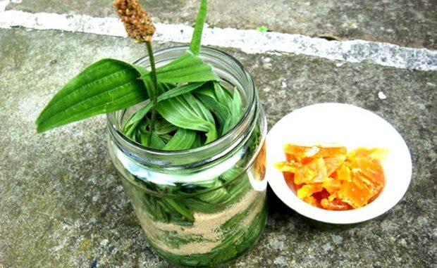 sirup-od-bokvice1