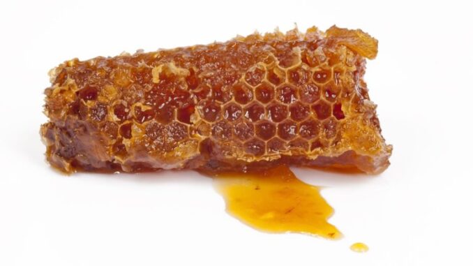 honeycomb-2113867_1280-768x512