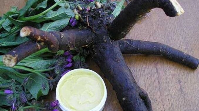 5fddab1d-8488-4c62-afee-68d00a0a0a64-gavez-690x480