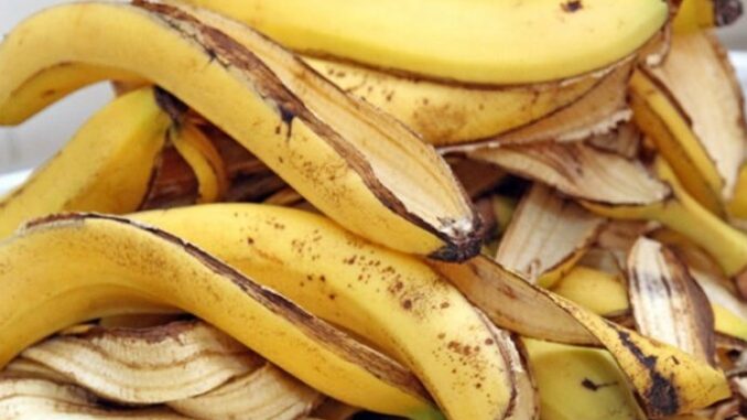 6362cd64-e05c-4517-ac5b-48270a0a0a64-11111-690x480