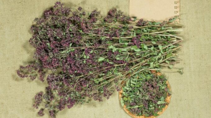 63d8b8e4-4660-41f7-b1c3-48070a0a0a64-230237-shutterstock-1815264914-ls-690x480