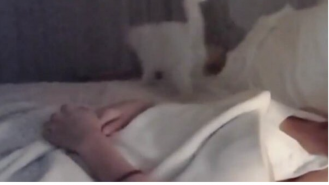 Screenshot-2023-02-06-at-17.28.33-1024x585-1