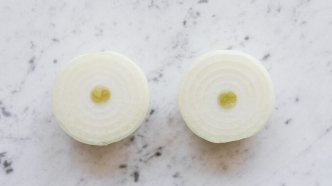 pexels-luk-4202504-1024x683-1