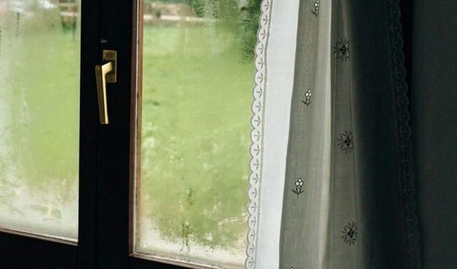 1706031168-prozori-750x430-690x480