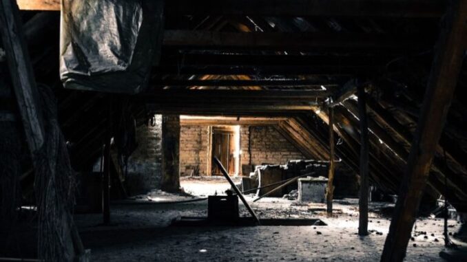 tavan-pixabay-768x476