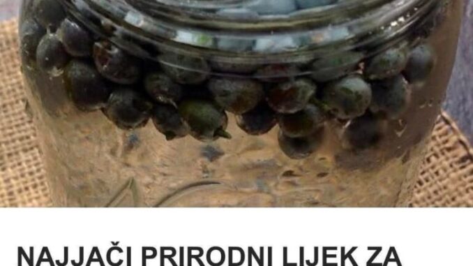 FB_IMG_1768842940217-768x960