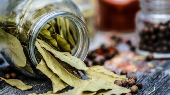 lovor-930x620-1-768x512