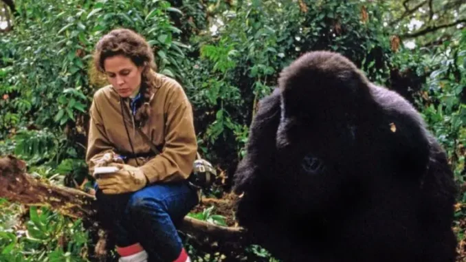 201043-768x510