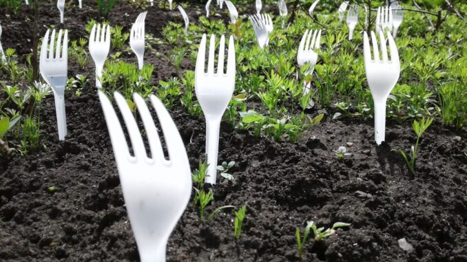 Plastic,Forks,In,The,Garden