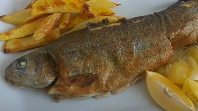 riba-screen